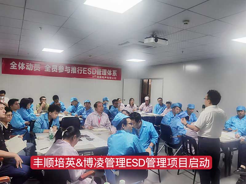 博凌管理為Tier1車載供應商培英電聲公司導入ESD管理系統，提升產品質量穩定可靠性